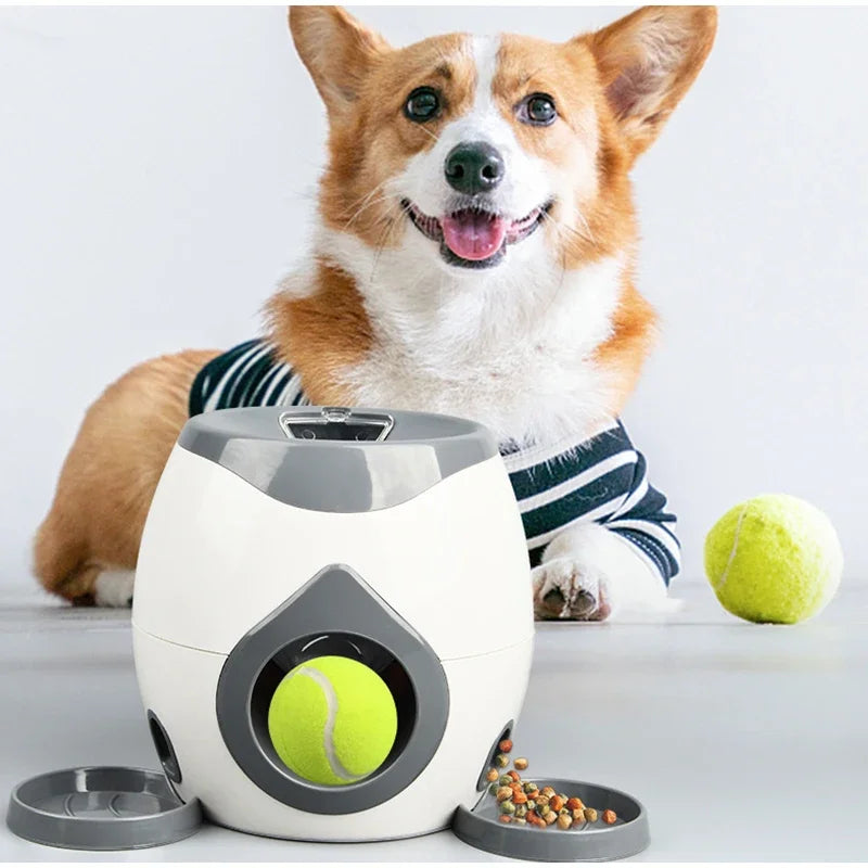 Smart Dog Puzzle Ball