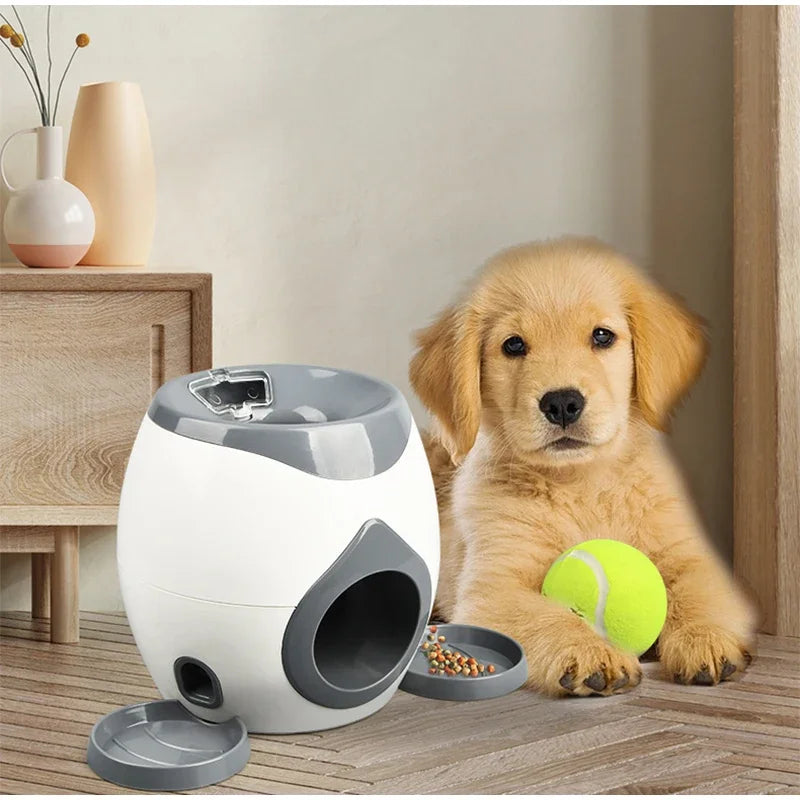 Smart Dog Puzzle Ball