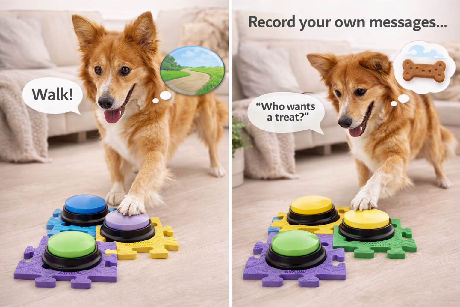Recordable Dog Talking Buttons