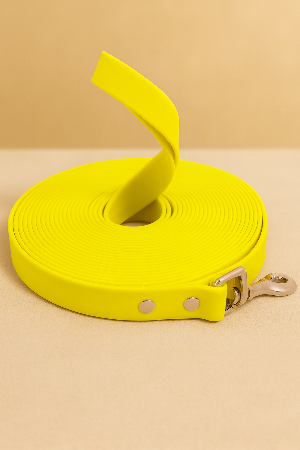 Waterproof Dog Leash