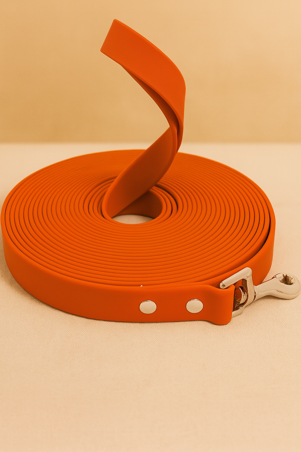 Waterproof Dog Leash