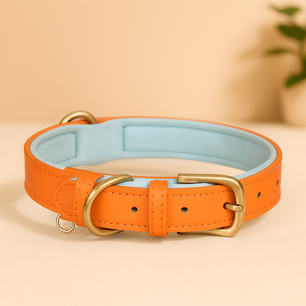 Padded Leather Dog Collar