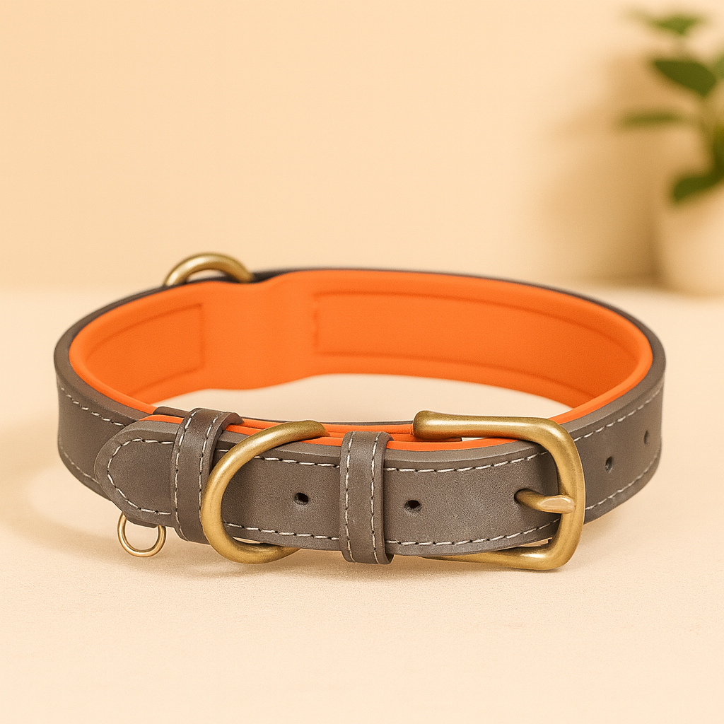 Padded Leather Dog Collar
