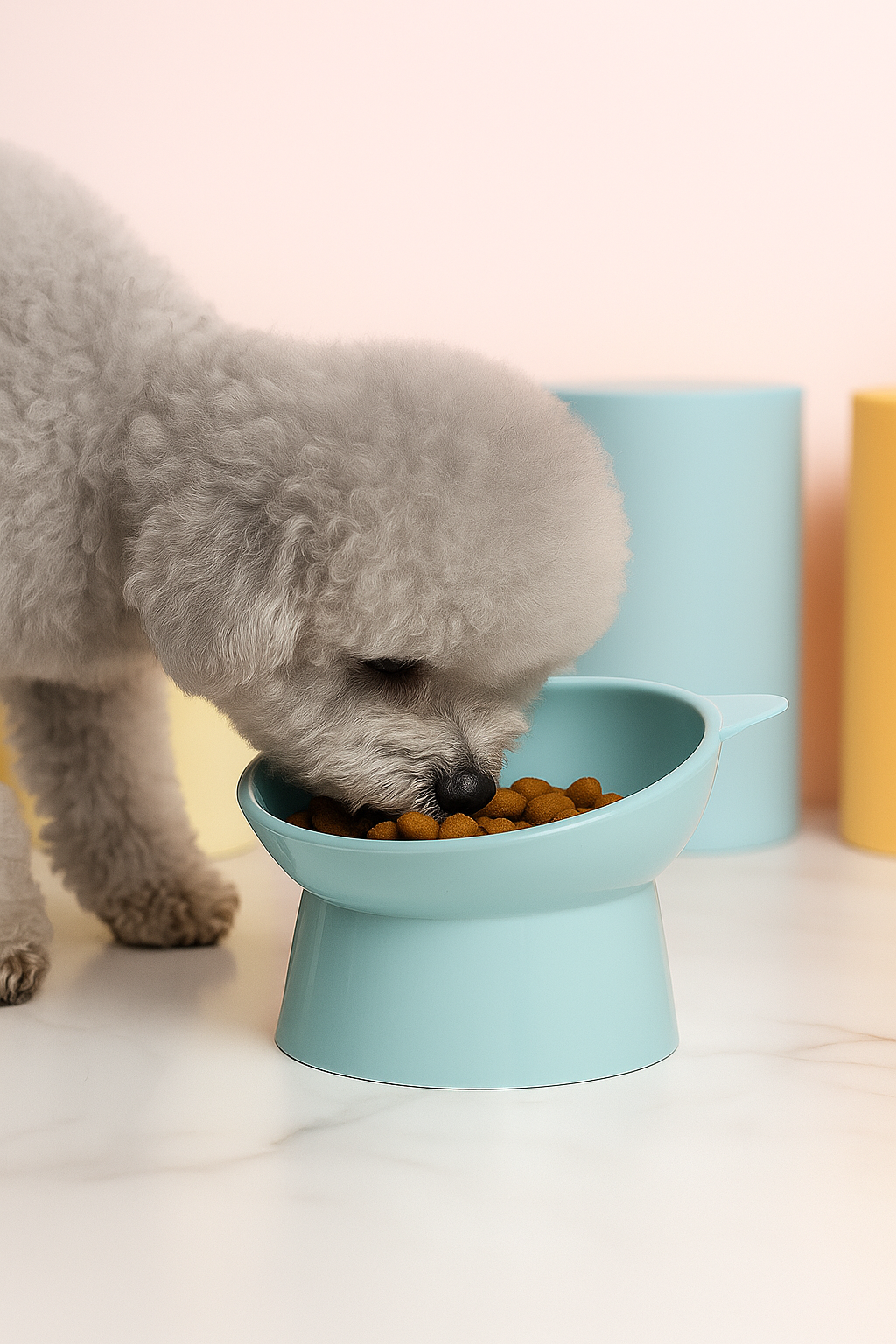 Elevated Cat Food Bowl