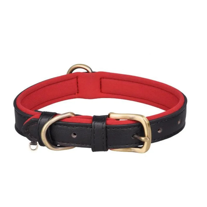 Padded Leather Dog Collar