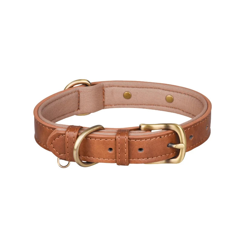 Padded Leather Dog Collar