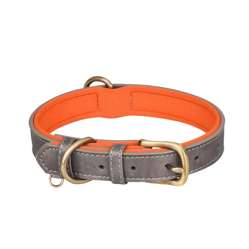 Padded Leather Dog Collar