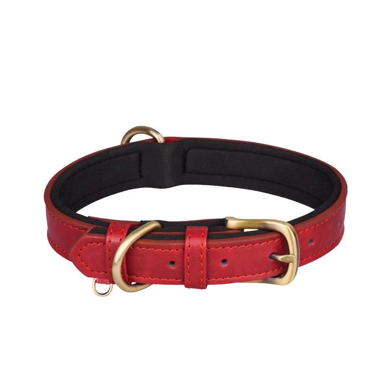 Padded Leather Dog Collar