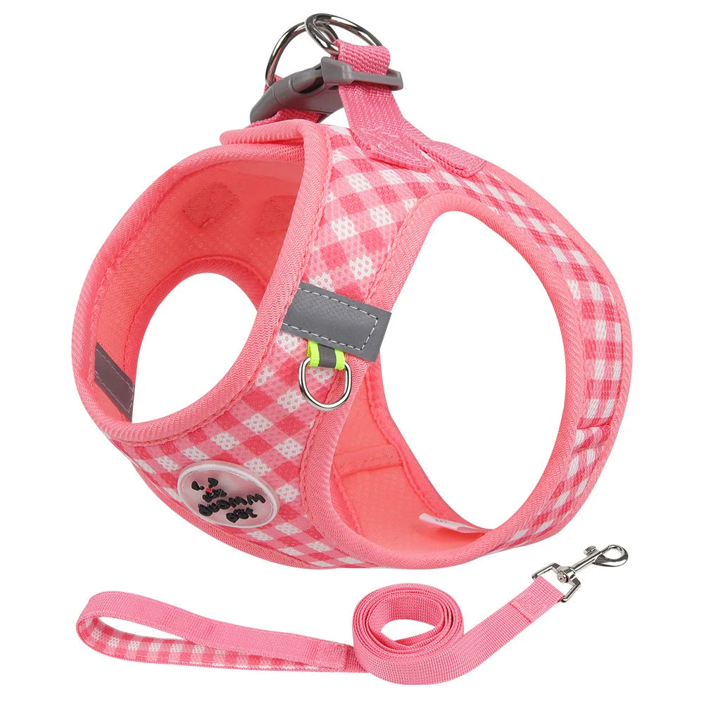Plaid Cat Harness Set