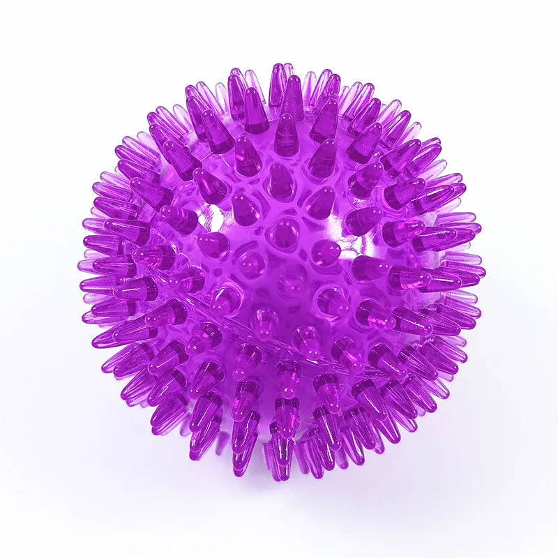 Squeaky Chew Ball Toy
