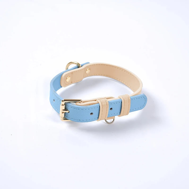 Personalized Leather Dog Collar