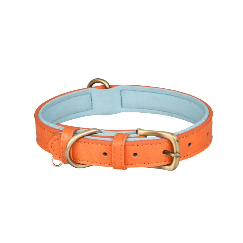 Padded Leather Dog Collar