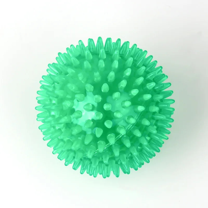 Squeaky Chew Ball Toy