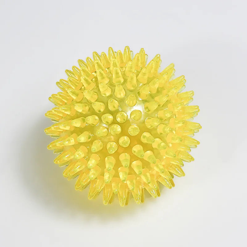 Squeaky Chew Ball Toy