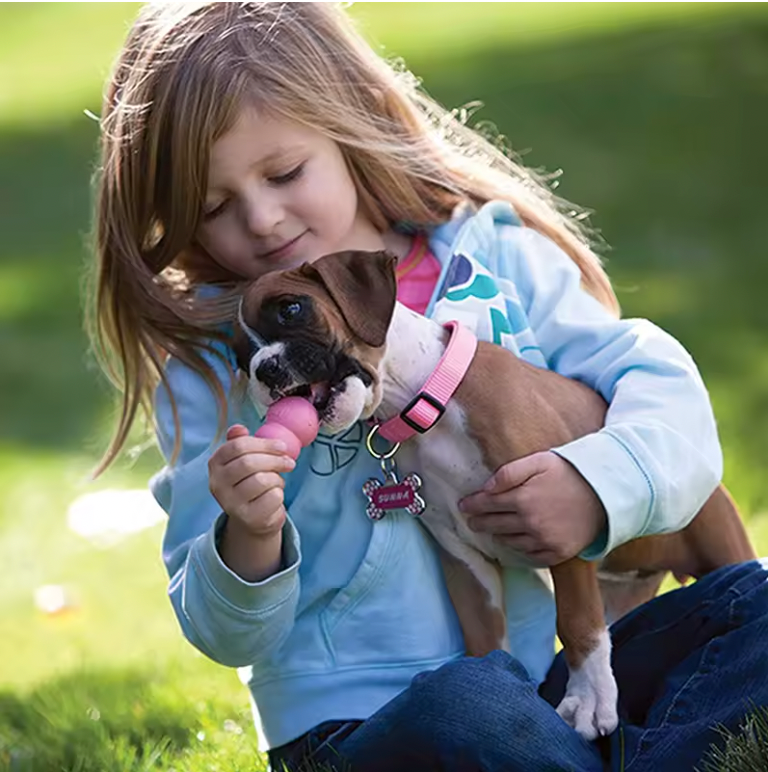 Natural Dog Chew Toy