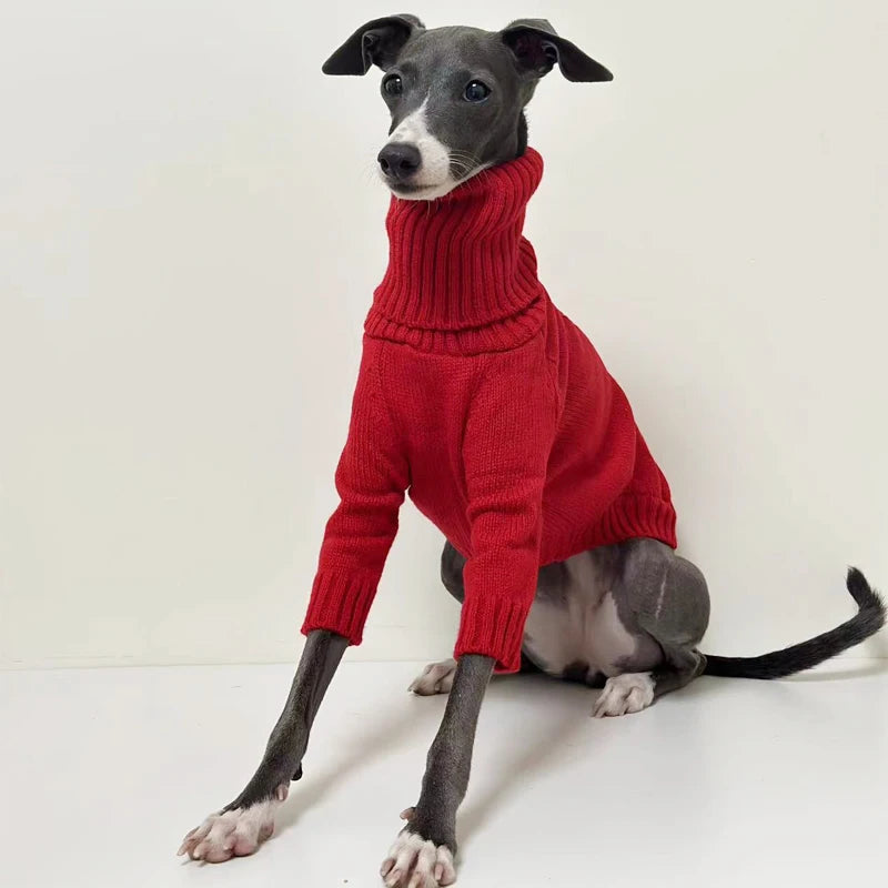 Italian Greyhound Sweater